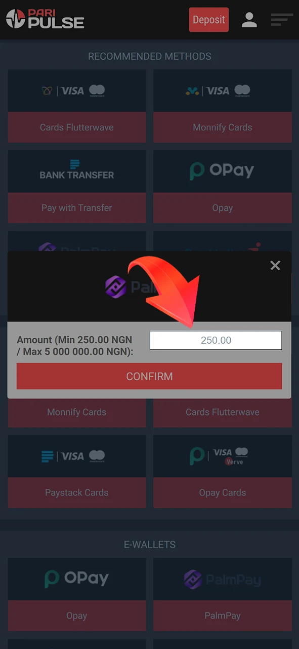 Enter the amount you want to deposit into your PariPulse account.