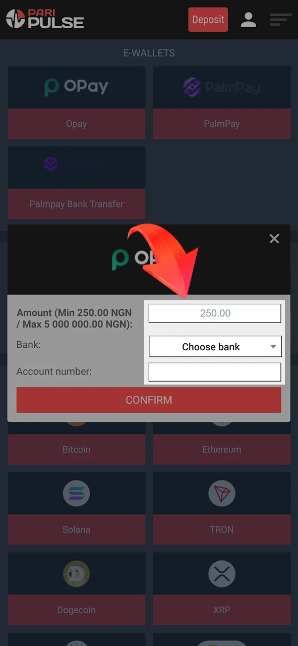 Provide all the details required to withdraw funds from PariPulse.